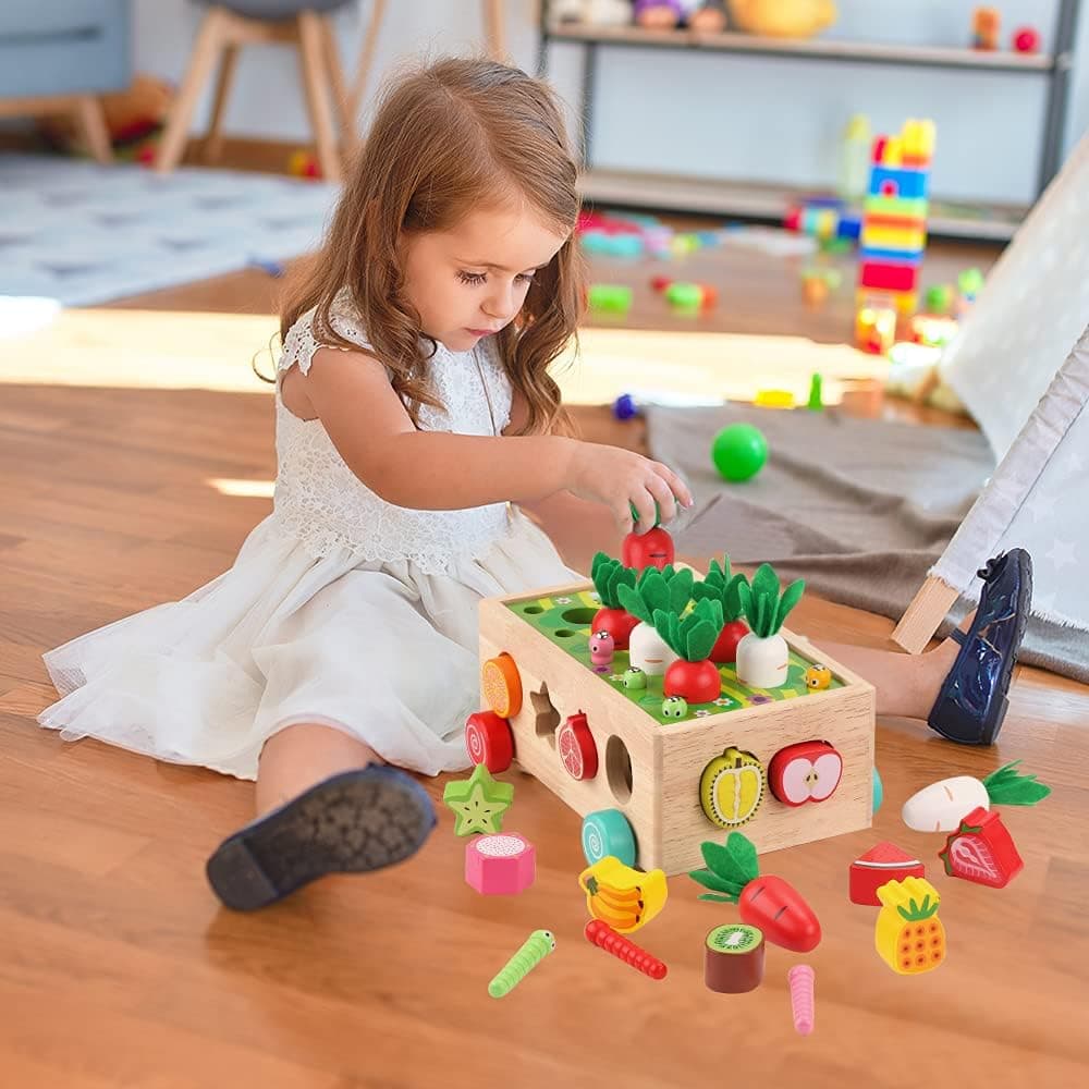 Toddlers Montessori Wooden Educational Toys for Baby Boys Girls Age 1 2 3 Year Old, Shape Sorting Toys Gifts for Kids 1-3, Wood Preschool Learning Fine Motor Skills Game