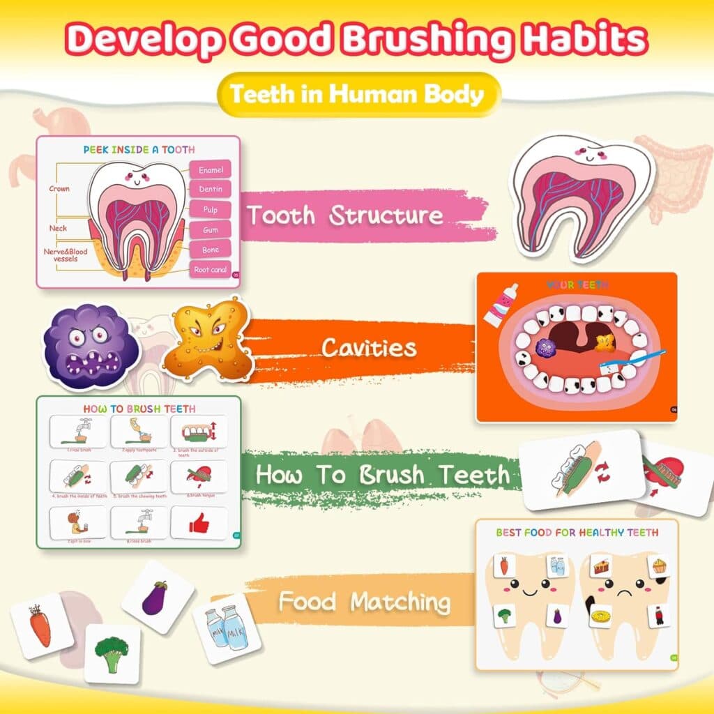 Preschool Montessori Toys for Kids, Human Body Busy Book for Kids Toys Ages 4-8 Birthday Gifts for 4-8 Year Olds Boys Girls Kindergarten Learning Activities Educational Toys for Kids 5-7 Travel Toys